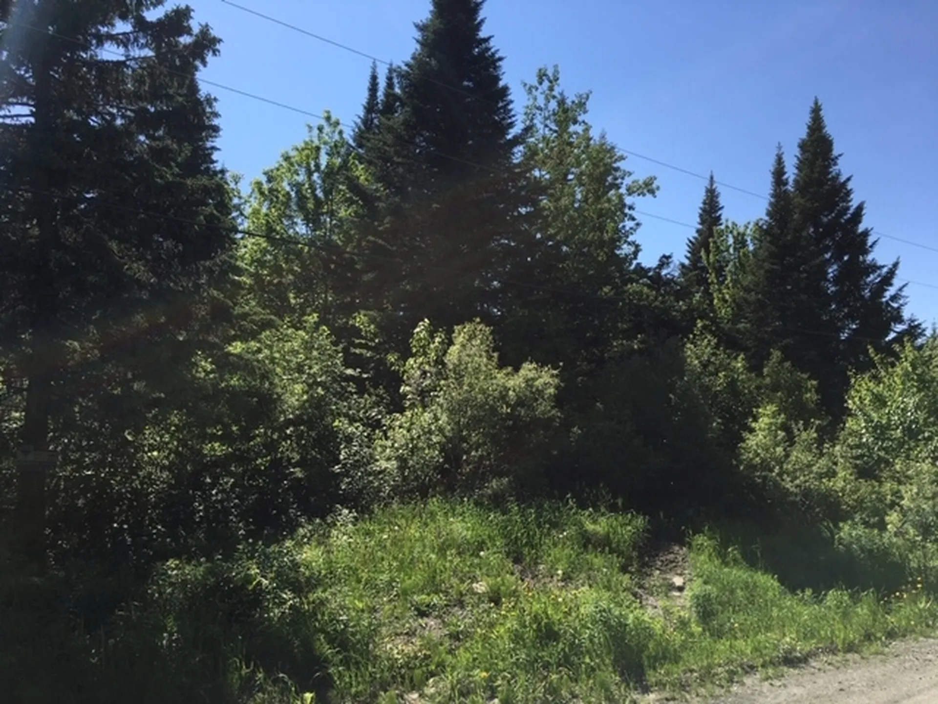 00 Mcallaster Road Stewartstown NH 03576