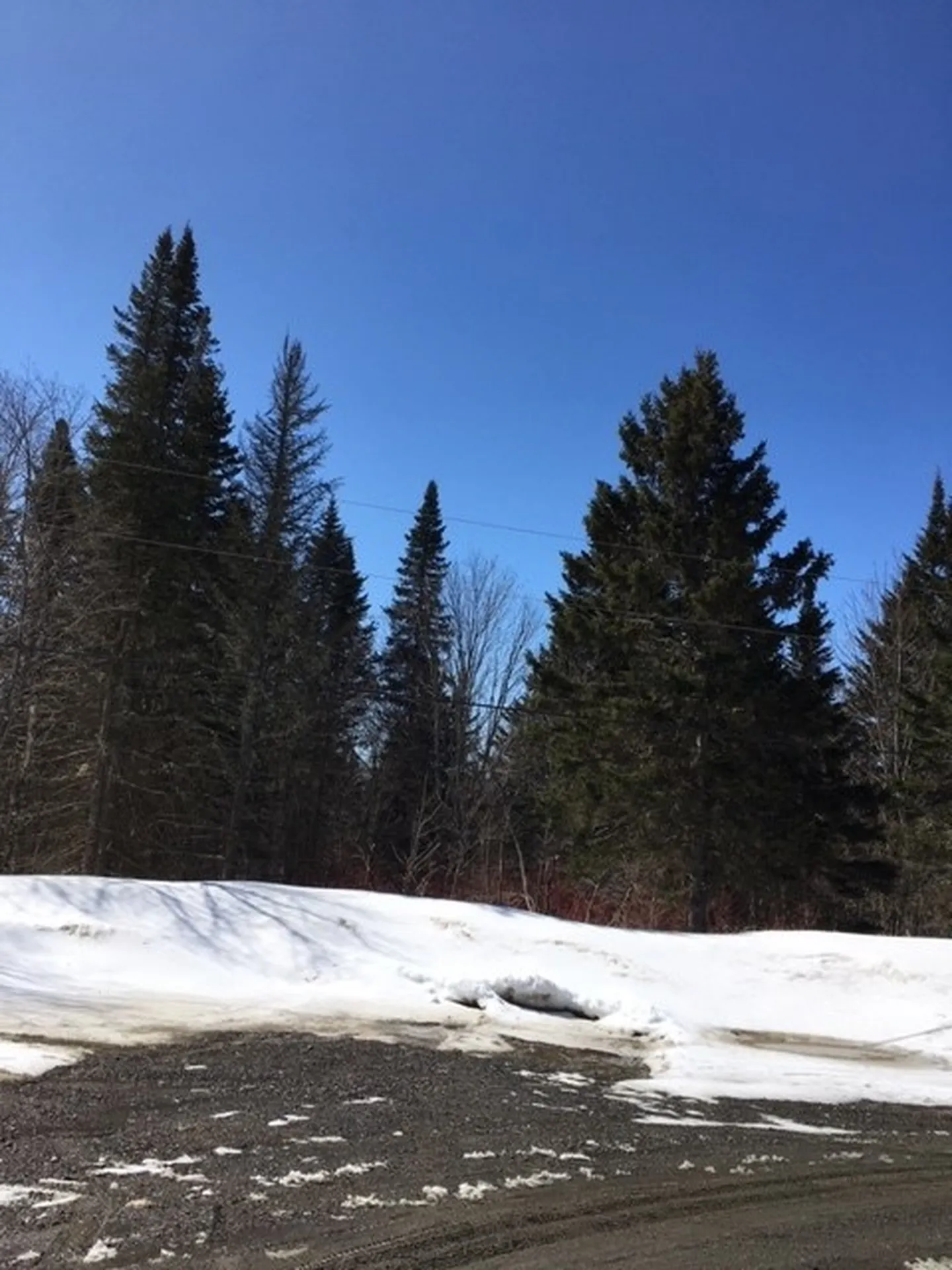 00 Mcallaster Road Stewartstown NH 03576