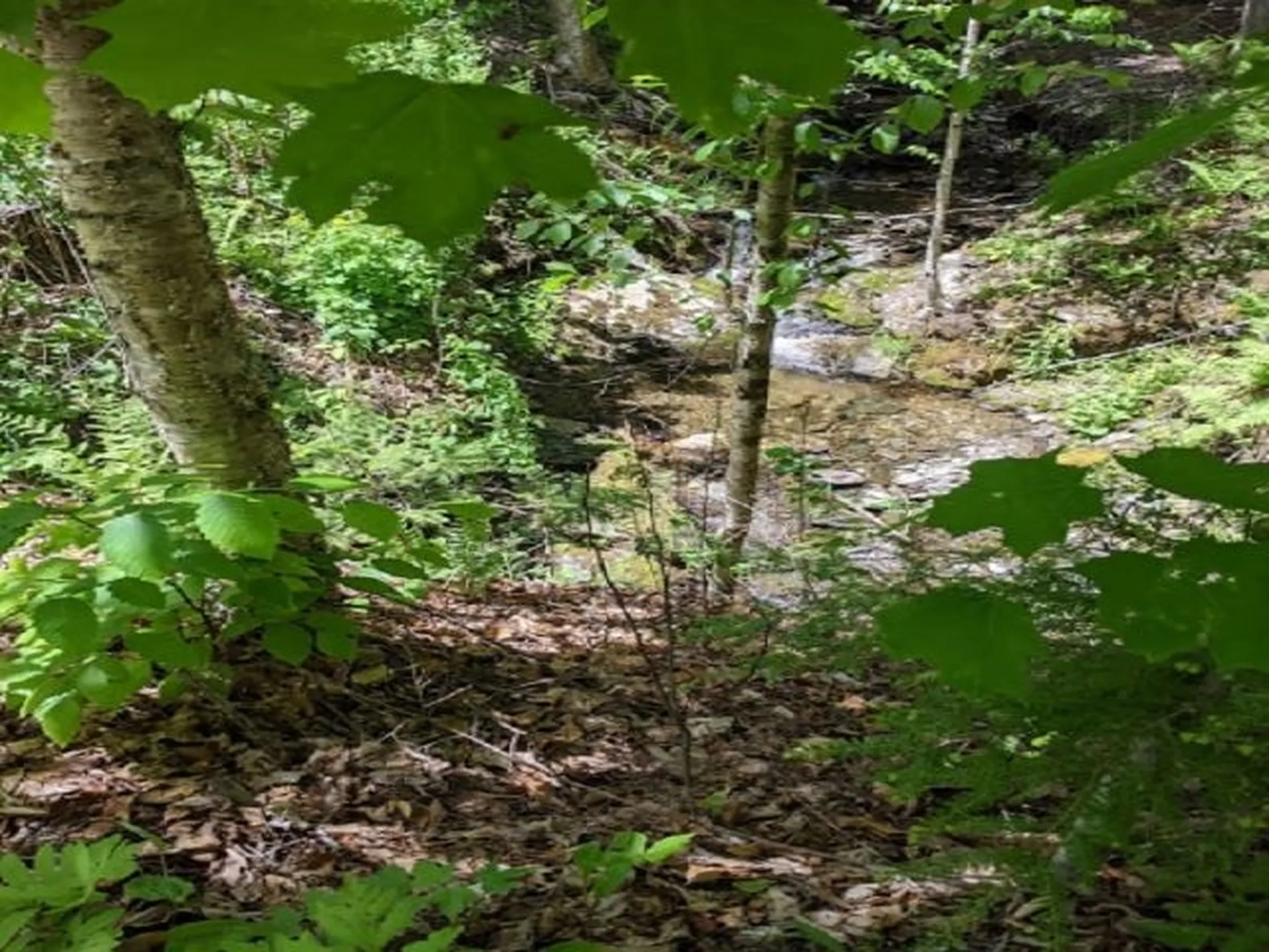 1027 Butternut Hill Road Waitsfield VT 05673