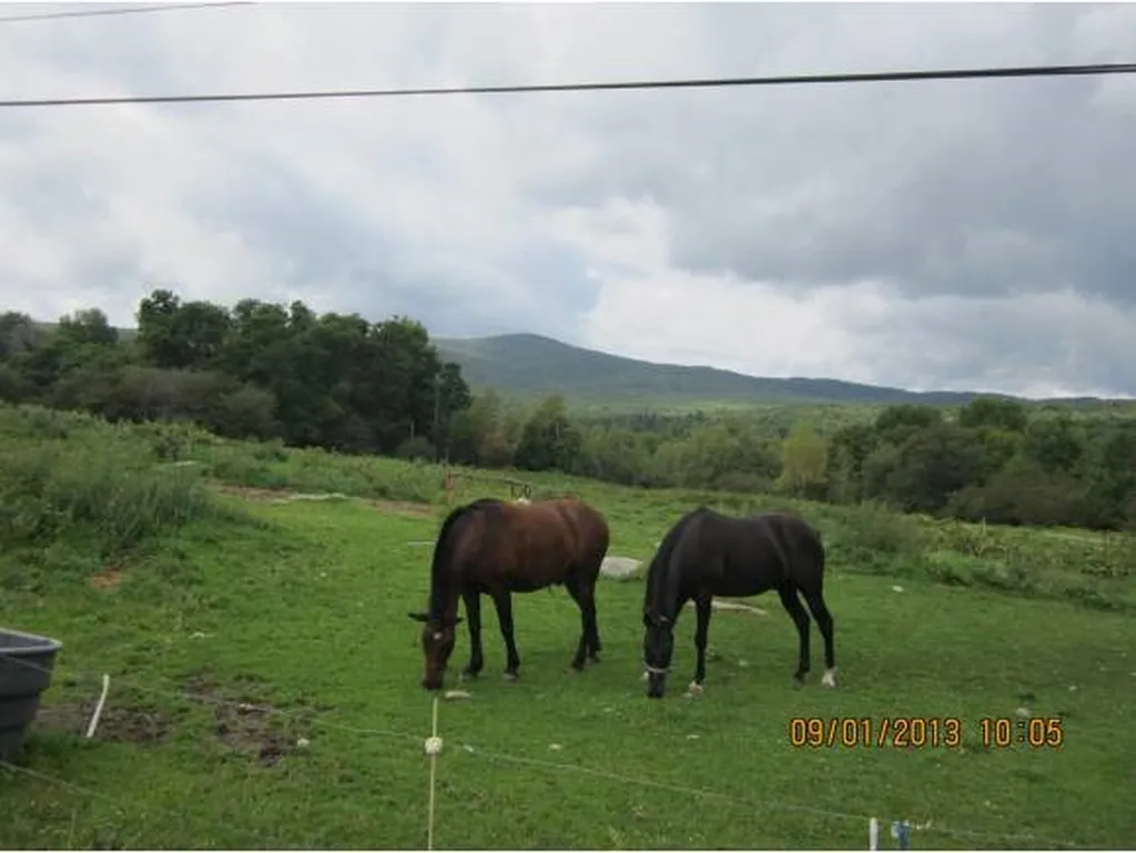 Lot 5 North Jay Road Jay VT 05859
