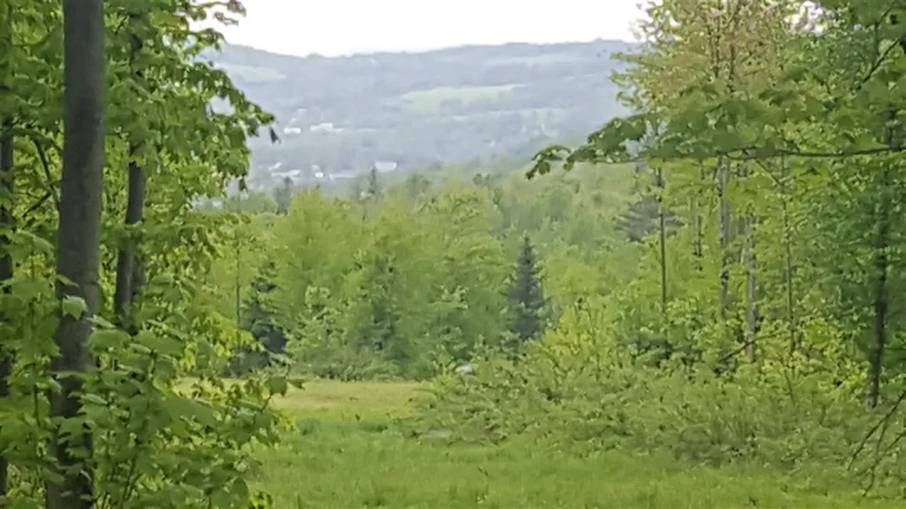 783 Dexter Mountain Road Glover VT 05839