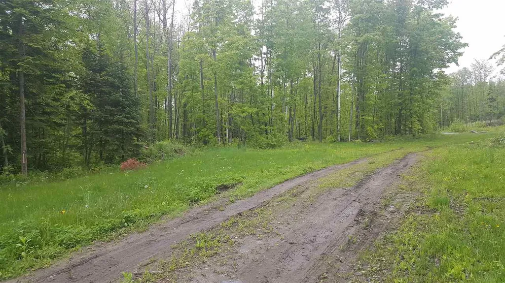 783 Dexter Mountain Road Glover VT 05839