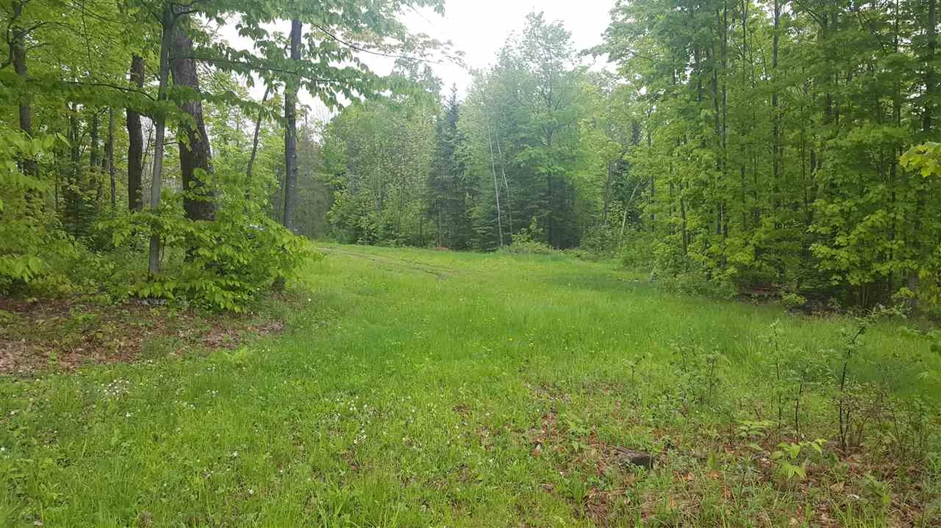 783 Dexter Mountain Road Glover VT 05839