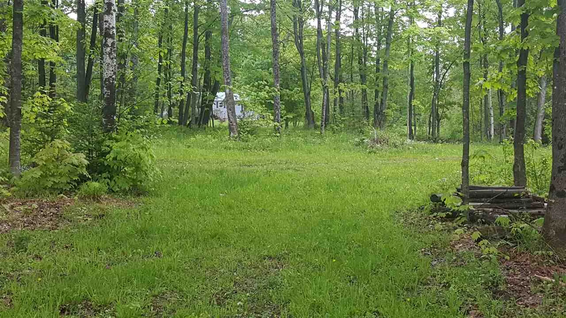 783 Dexter Mountain Road Glover VT 05839