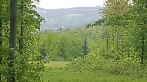 783 Dexter Mountain Road Glover VT 05839