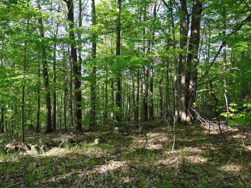 Danby Mountain Road Dorset VT 05251