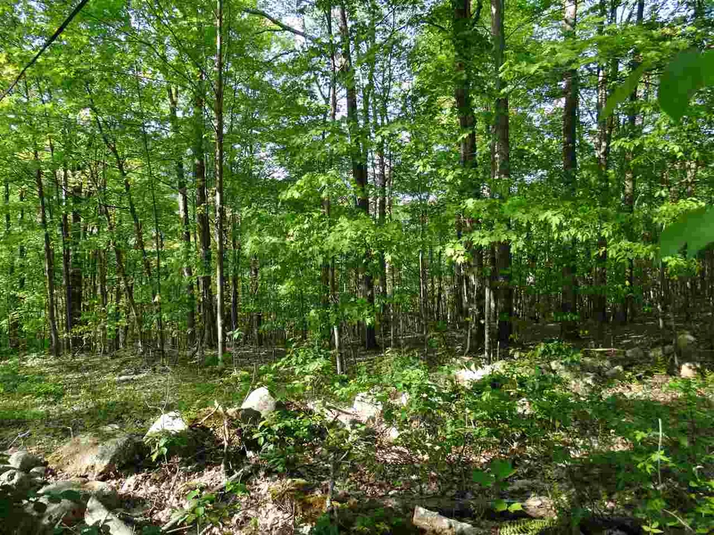Danby Mountain Road Dorset VT 05251