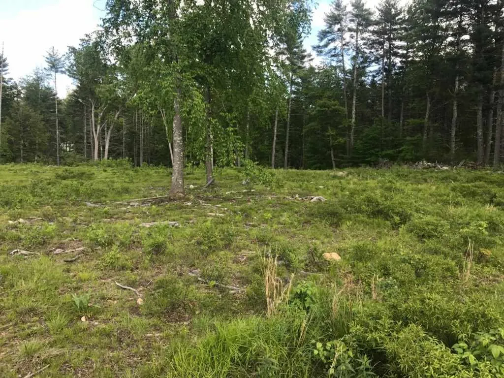 Lot 1 Savannah Way Merrimack NH 03054