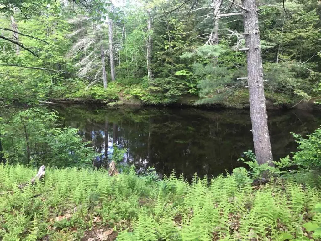 Lot 1 Savannah Way Merrimack NH 03054