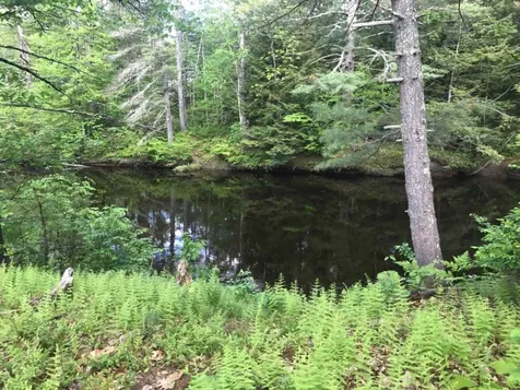 Lot 1 Savannah Way Merrimack NH 03054