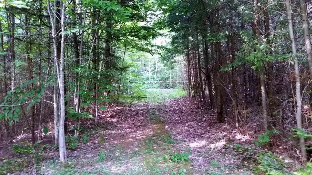3371 Route 5 Coventry VT 05825