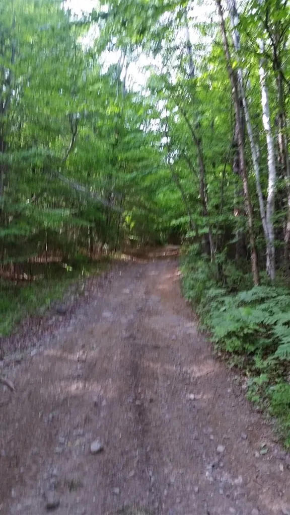 3371 Route 5 Coventry VT 05825