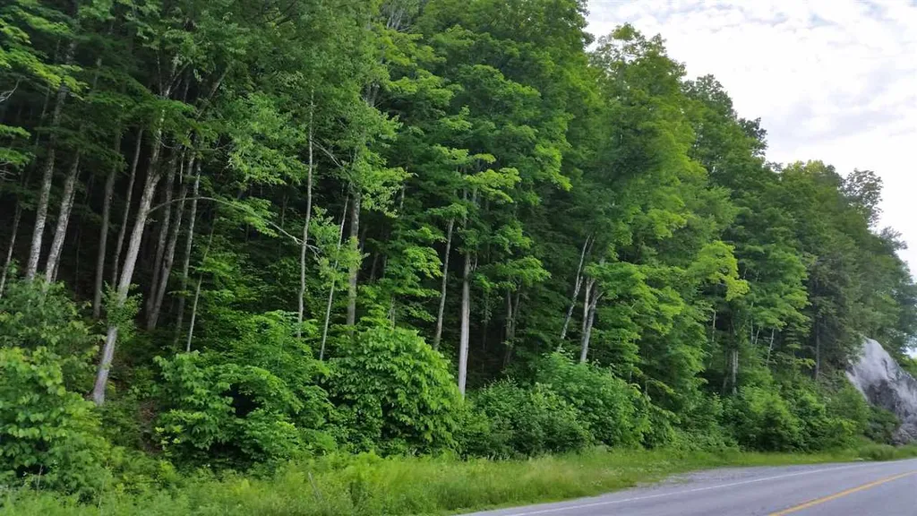 3371 Route 5 Coventry VT 05825