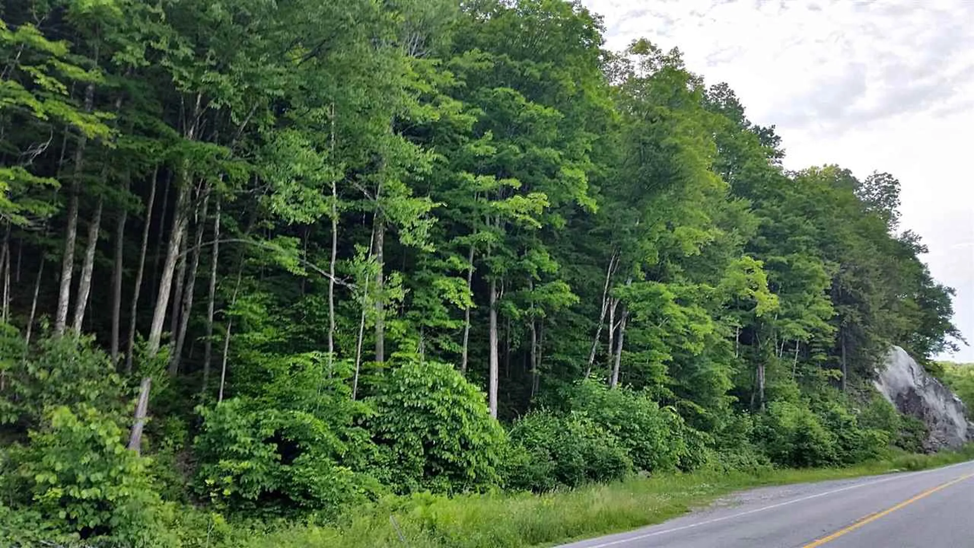 3371 Route 5 Coventry VT 05825