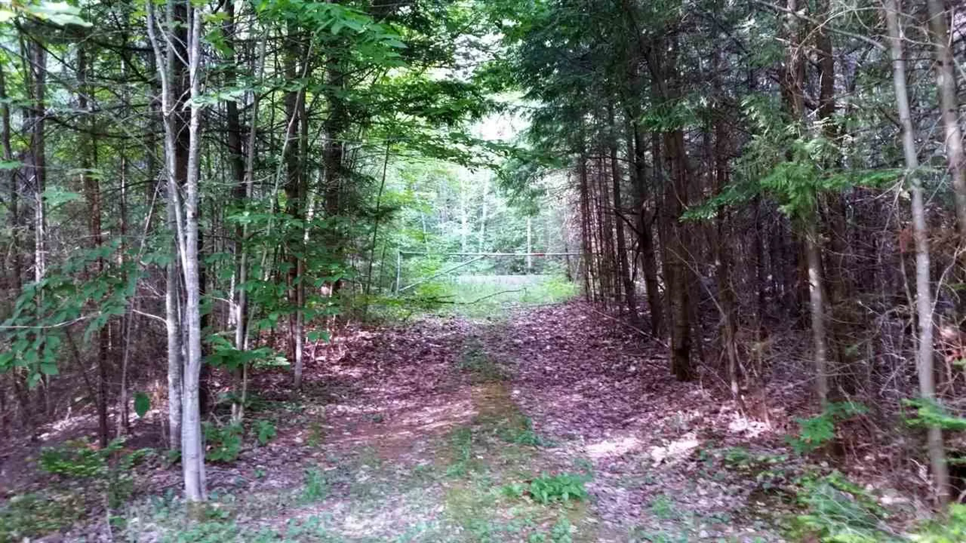 3371 Route 5 Coventry VT 05825