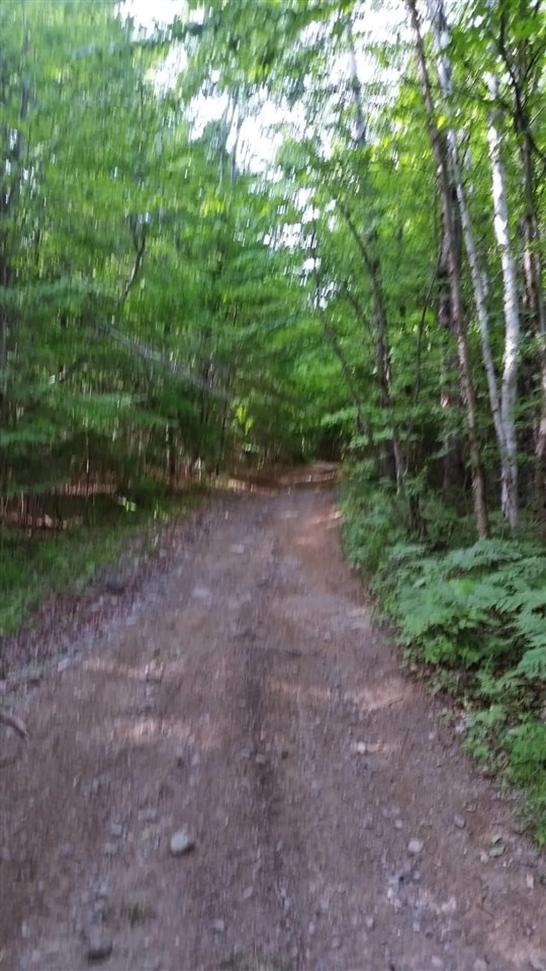 3371 Route 5 Coventry VT 05825