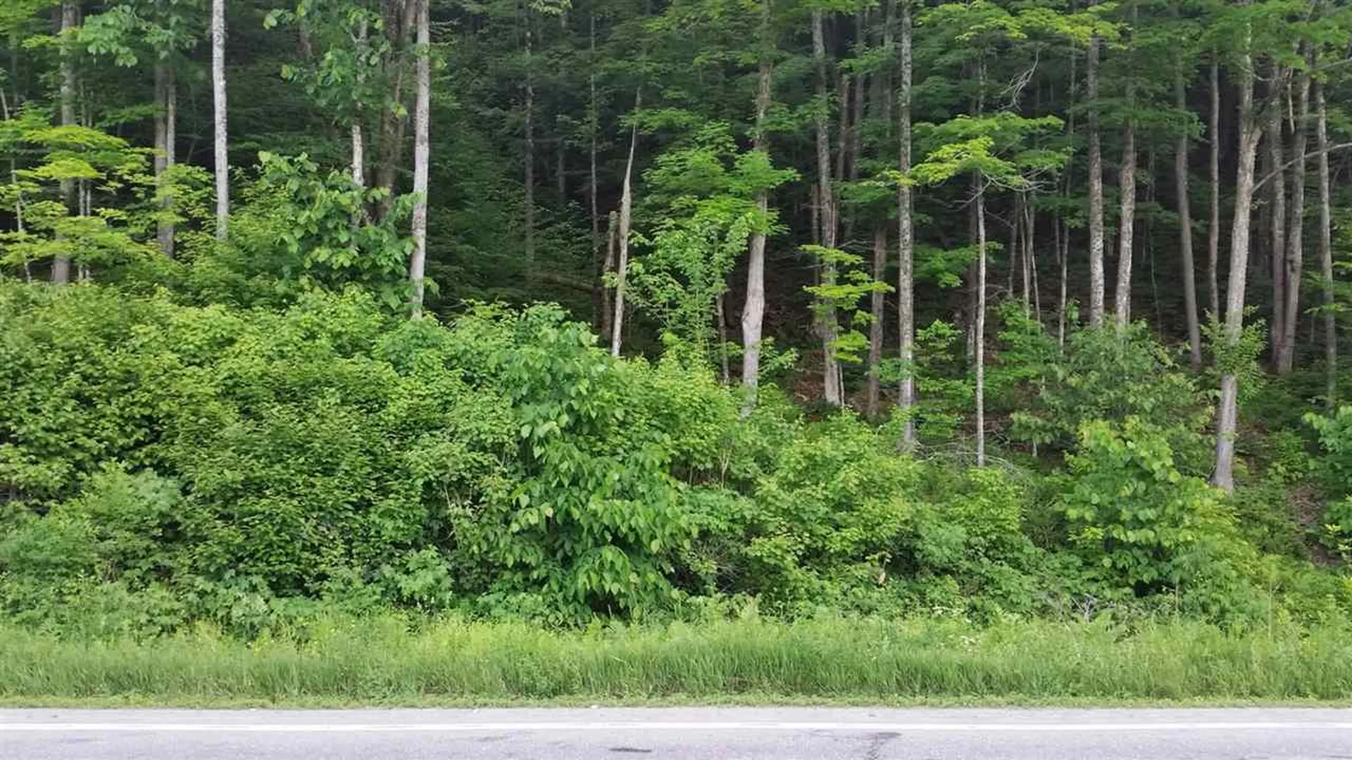 3371 Route 5 Coventry VT 05825