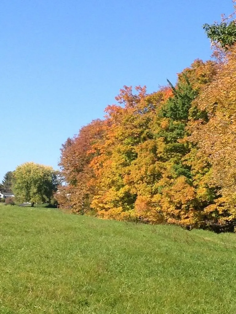 0 West Cobble Hill Road Barre Town VT 05641