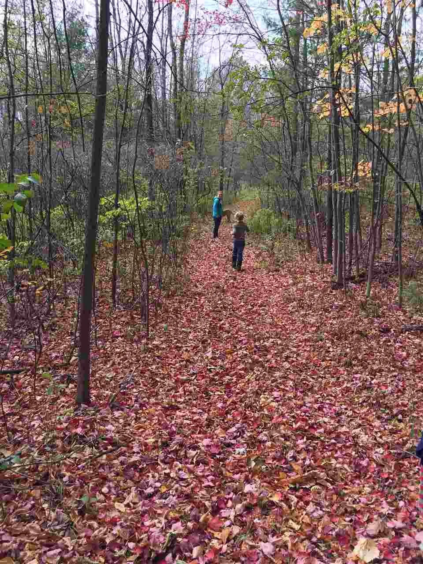 1019 Cider Mill Road Cornwall VT 05753