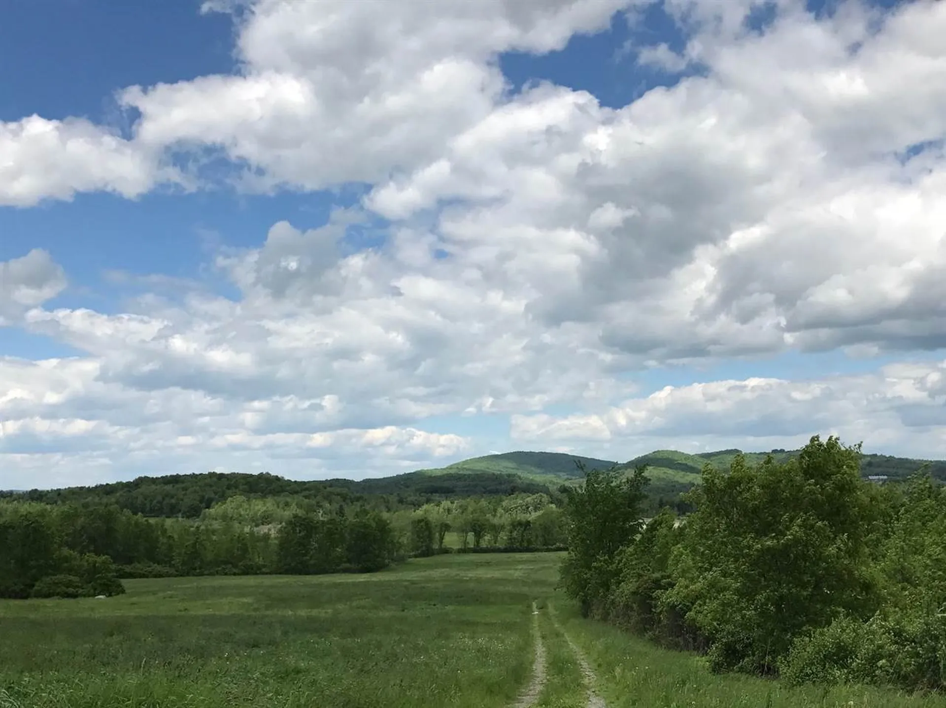 Lot 8 Helena Place New Haven VT 05472