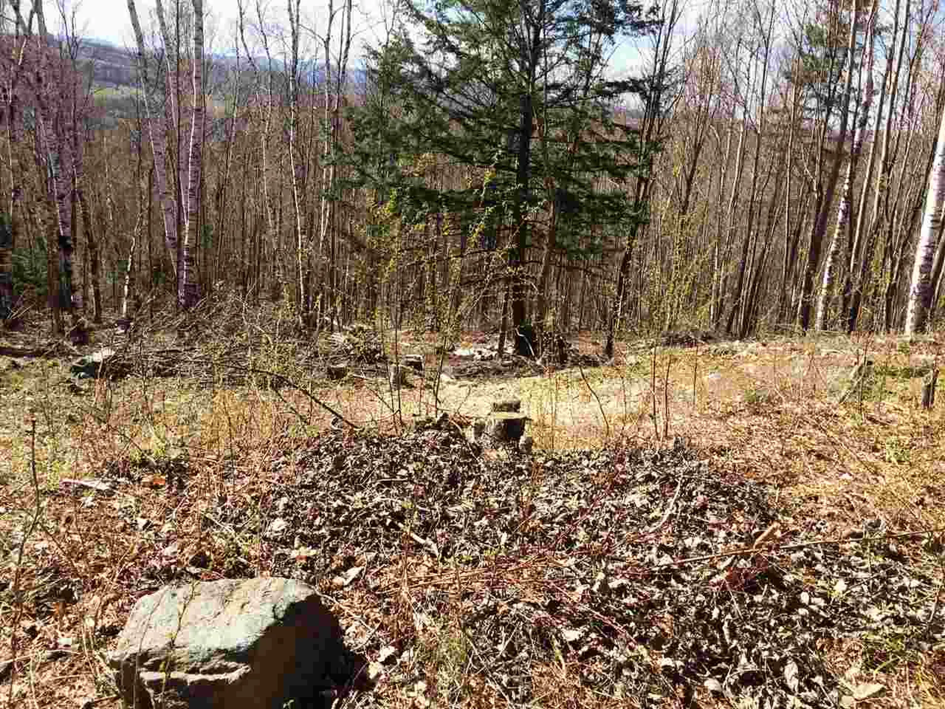 0 Ore Hill Road Sugar Hill NH 03586