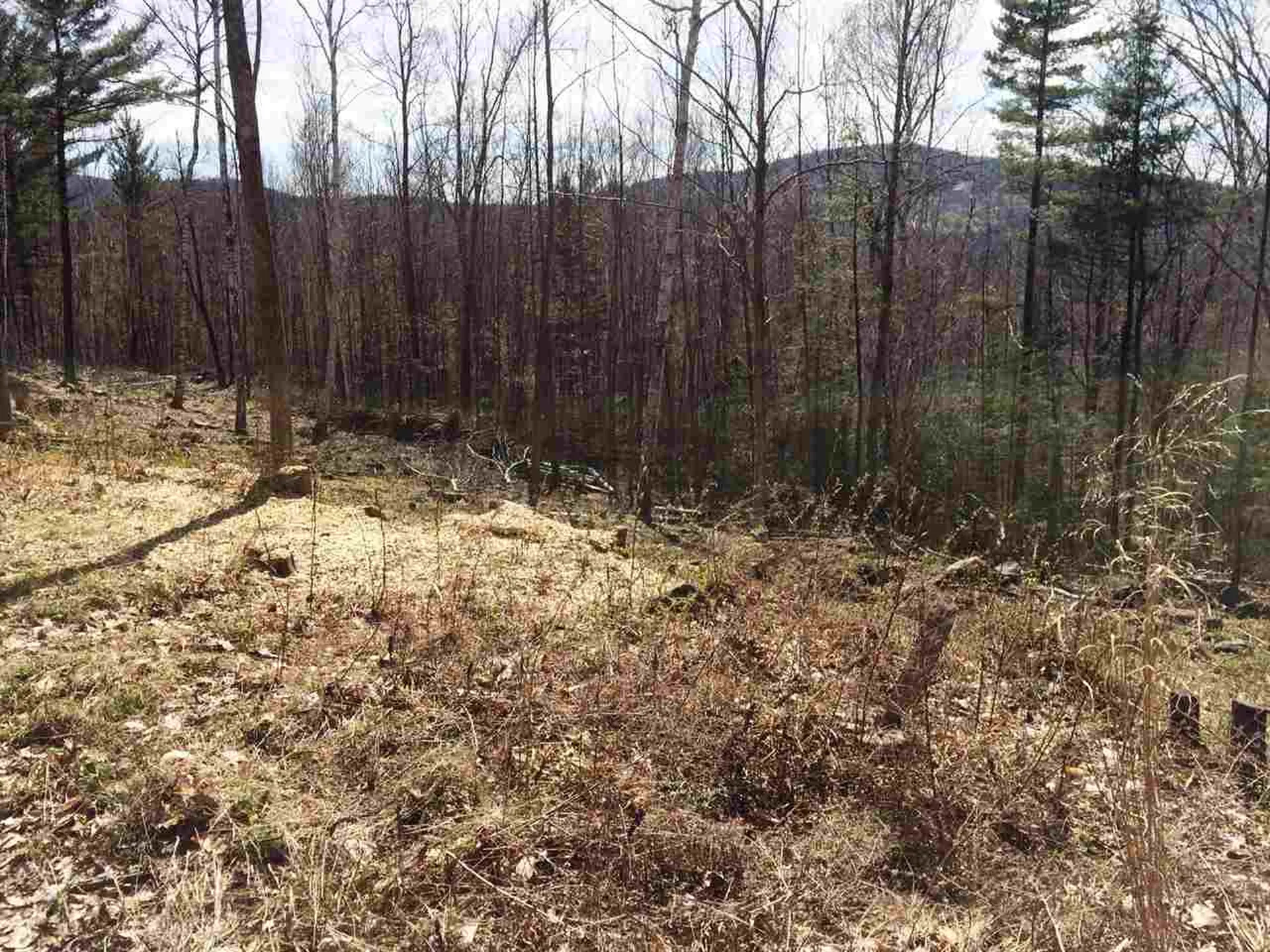 0 Ore Hill Road Sugar Hill NH 03586
