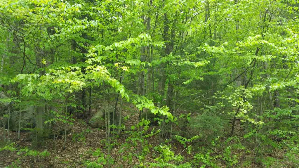 Lot 25 Heartwellville View Drive Readsboro VT 05350