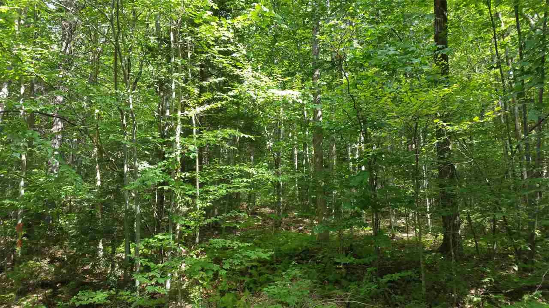 Lot 25 Heartwellville View Drive Readsboro VT 05350
