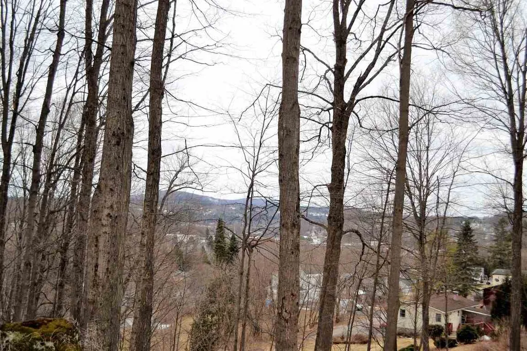 90-91 Beech Street Barre City VT 05641