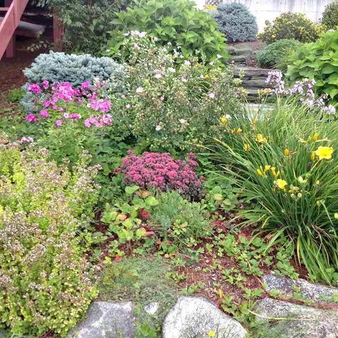 55 Whitcomb Lane Charleston VT 05833