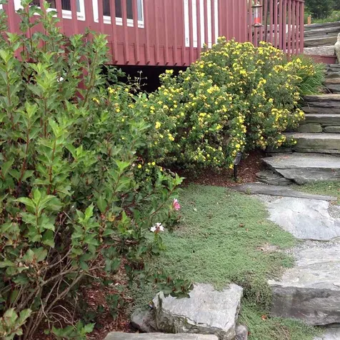 55 Whitcomb Lane Charleston VT 05833