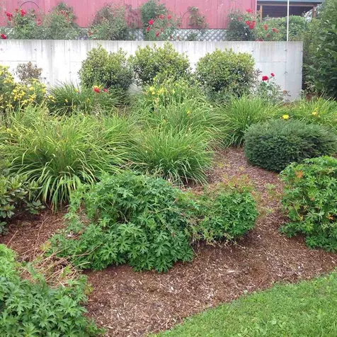 55 Whitcomb Lane Charleston VT 05833