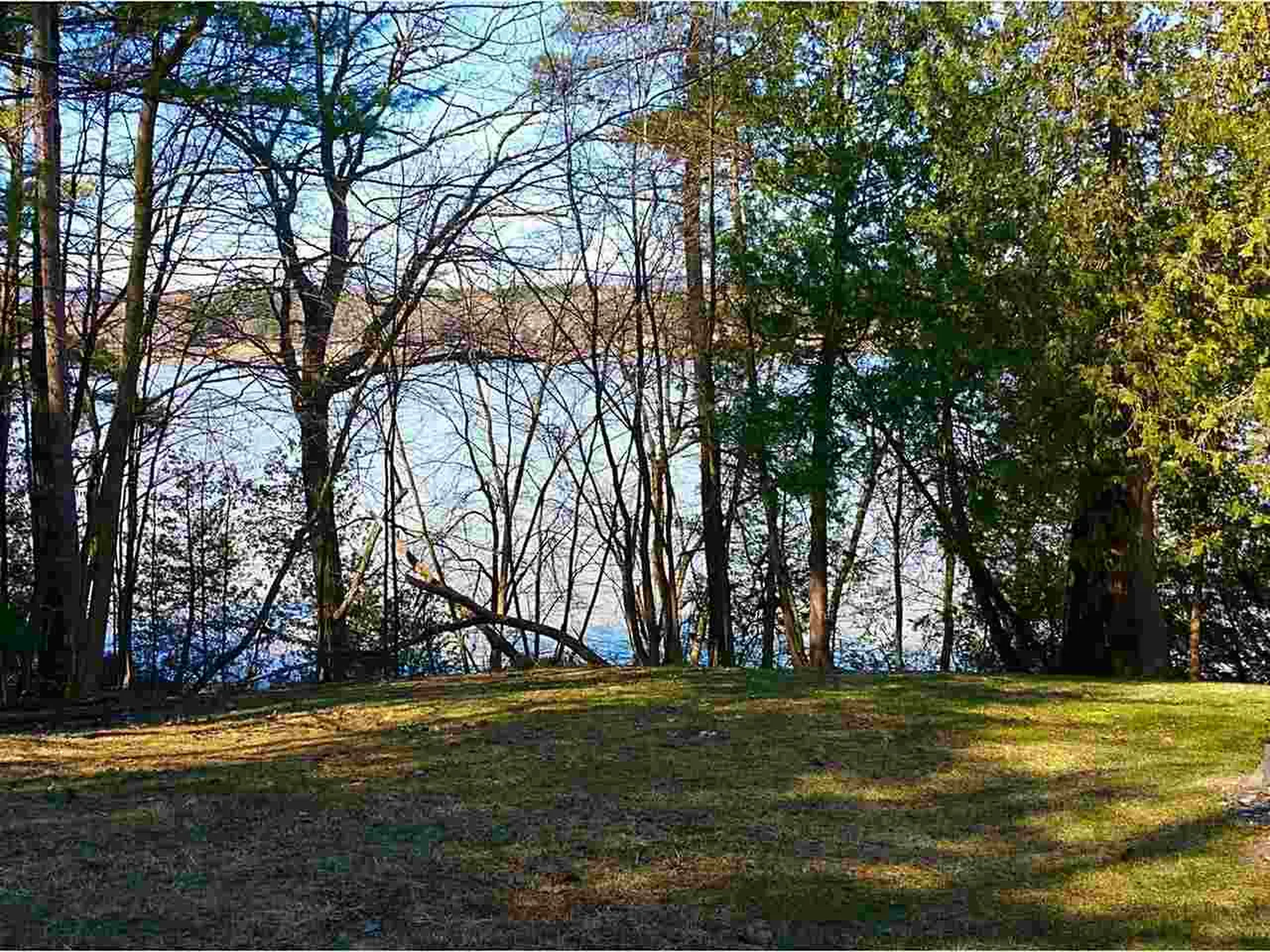 167 Stone Lane Bridport VT 05734