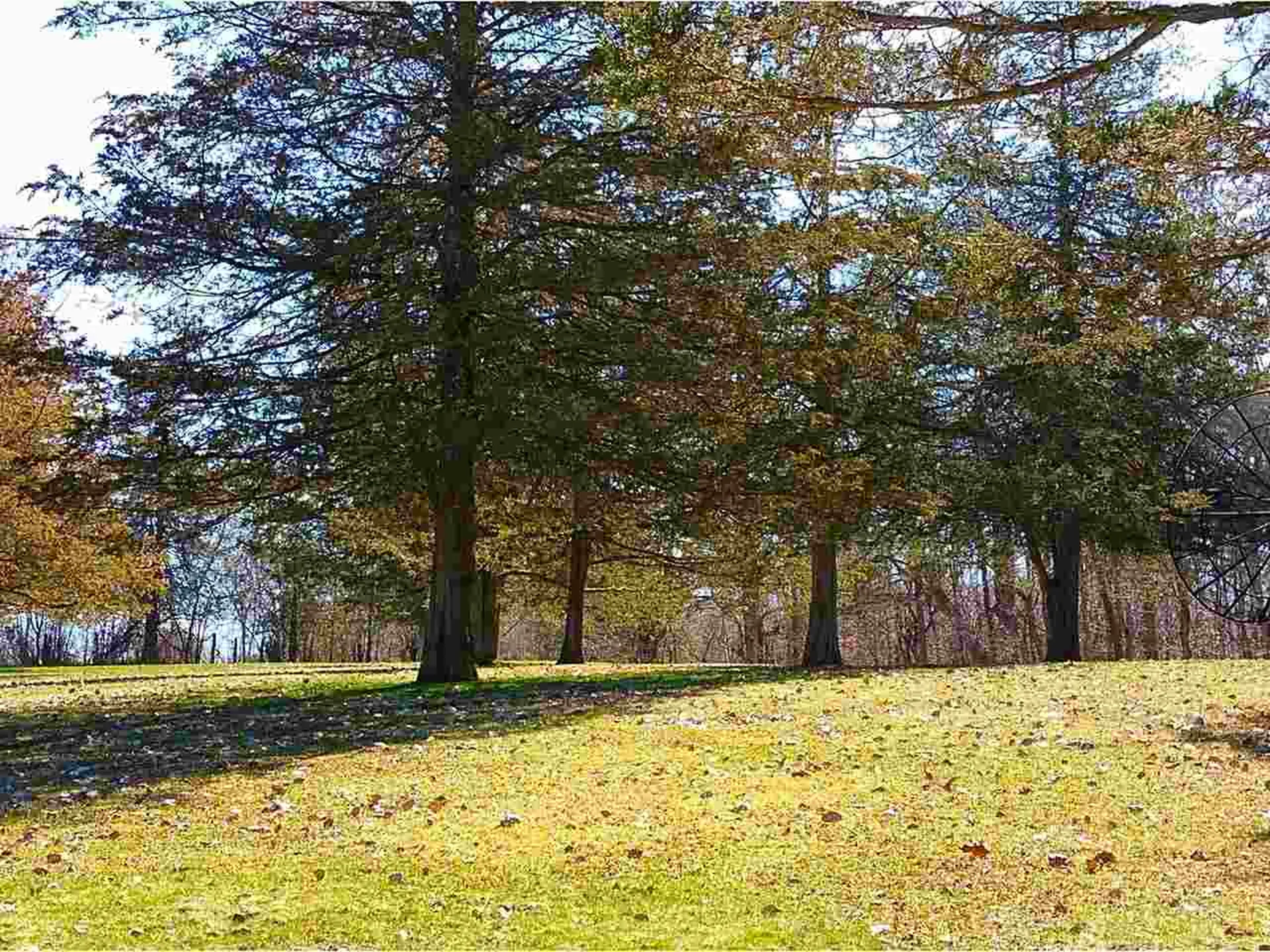 167 Stone Lane Bridport VT 05734