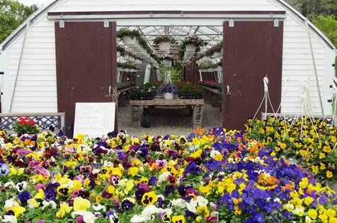 69 East Street Orleans VT 05860