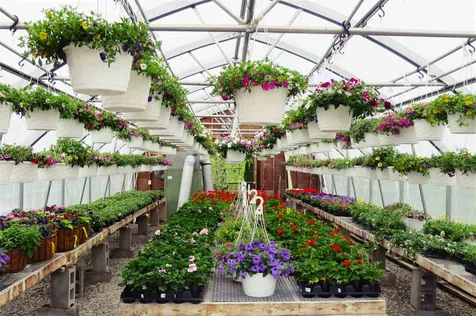 69 East Street Orleans VT 05860