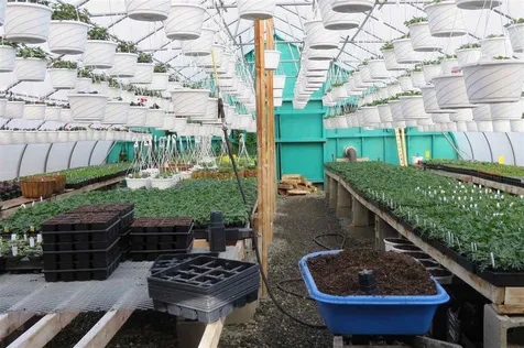 69 East Street Orleans VT 05860