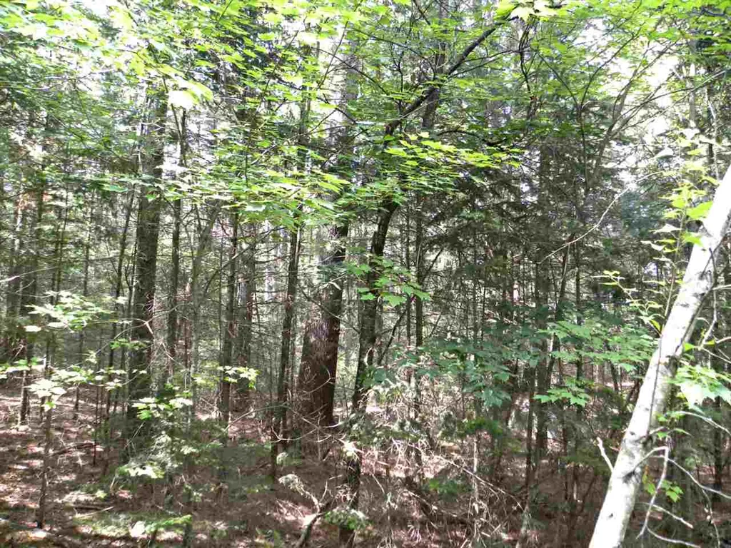 0 Maxfield Road Albany VT 05845