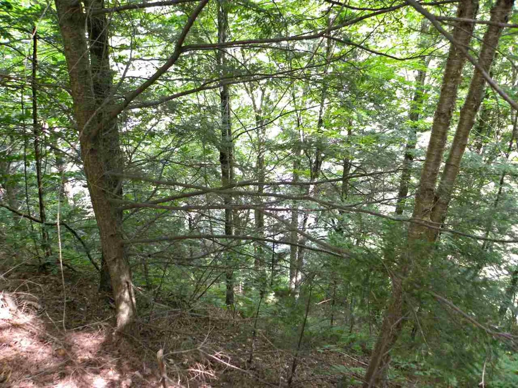 0 Maxfield Road Albany VT 05845