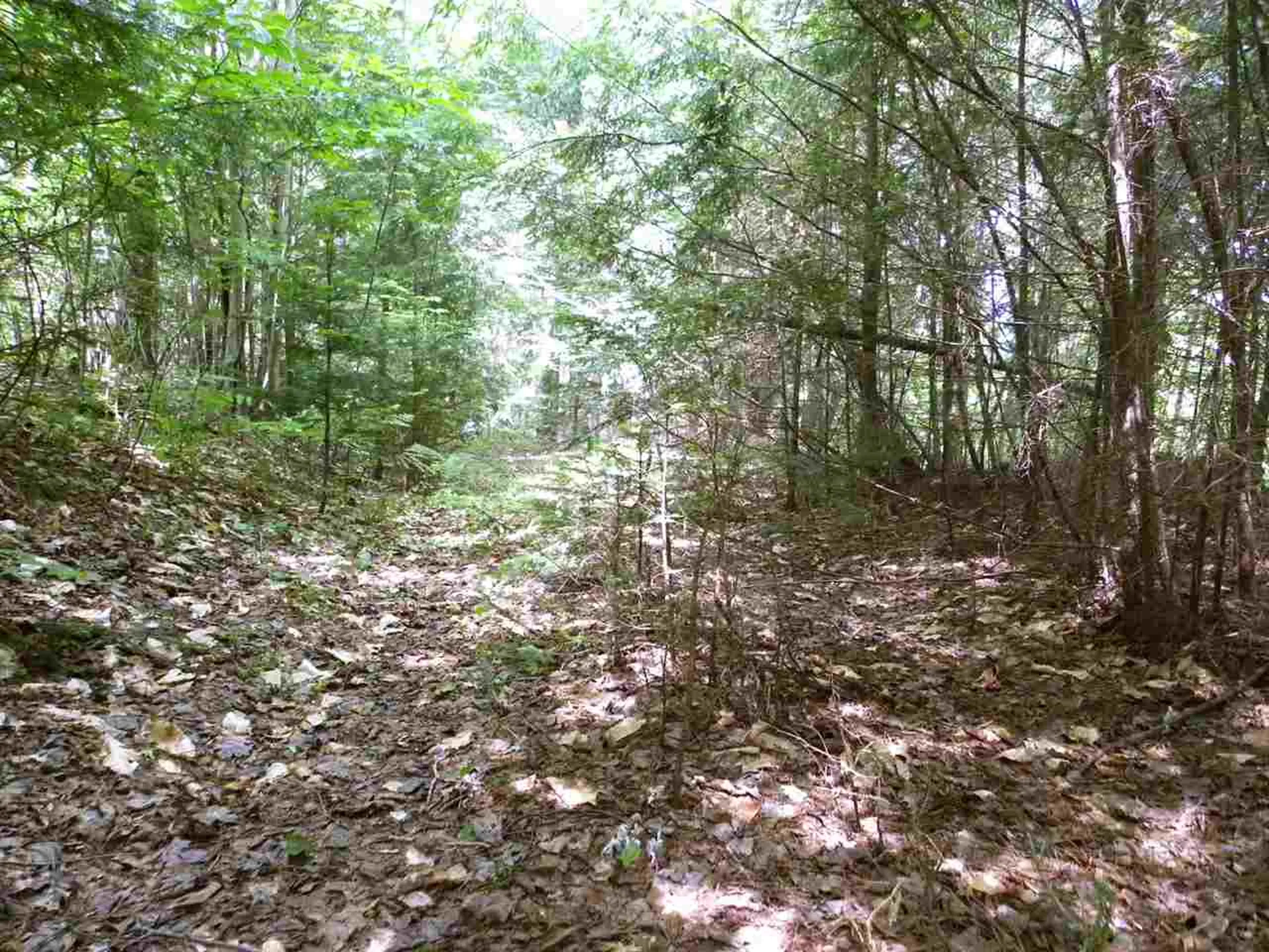 0 Maxfield Road Albany VT 05845