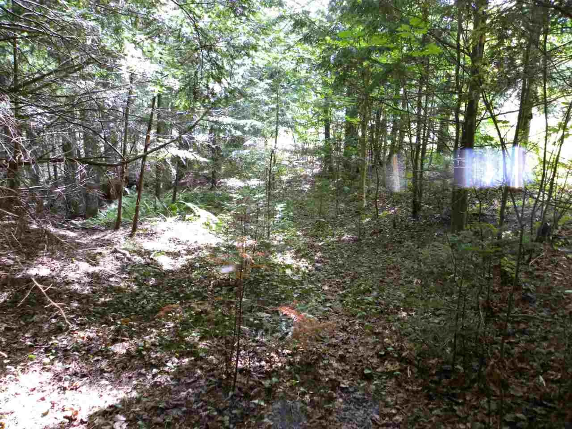 0 Maxfield Road Albany VT 05845