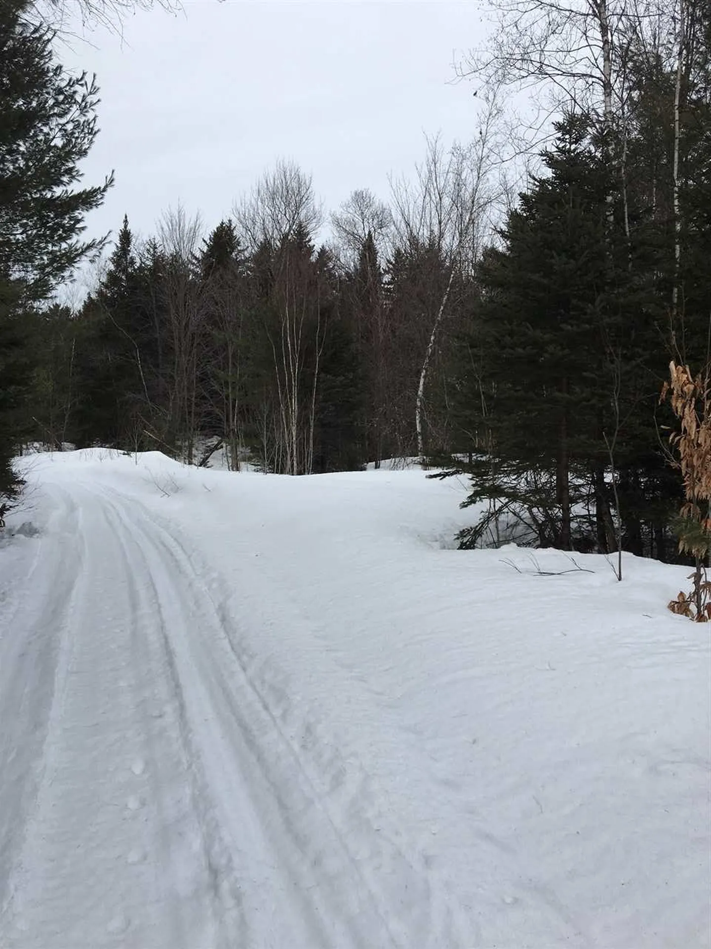 0 Maxfield Road Albany VT 05845