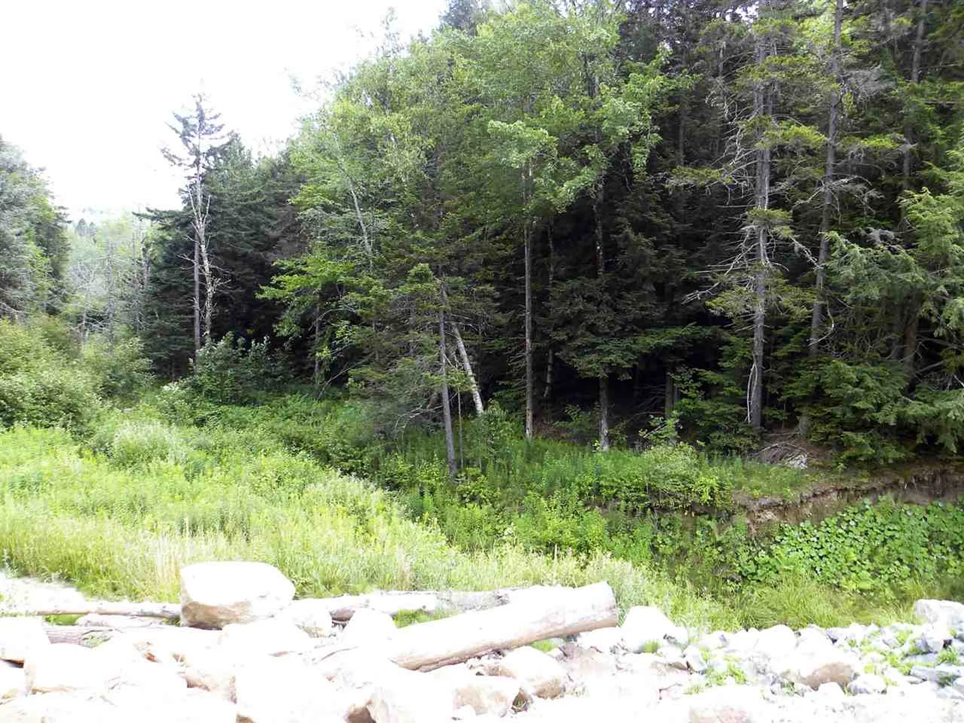 0 Maxfield Road Albany VT 05845
