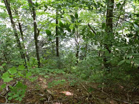 0 Maxfield Road Albany VT 05845