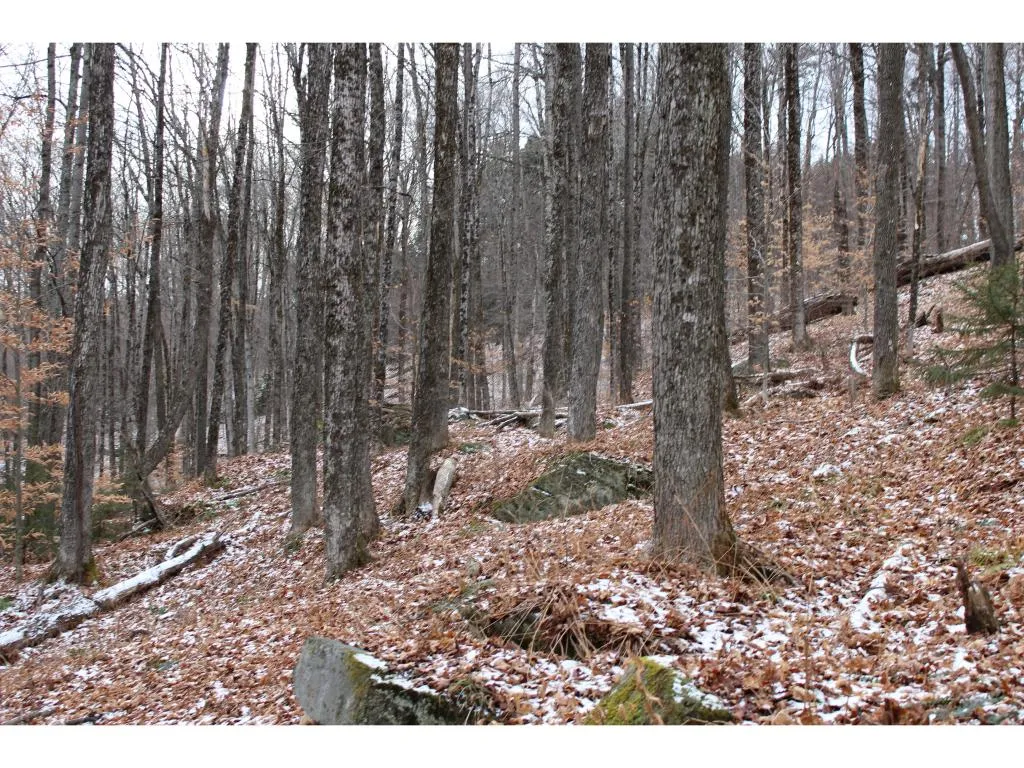 00 Stage Road Barnard VT 05031