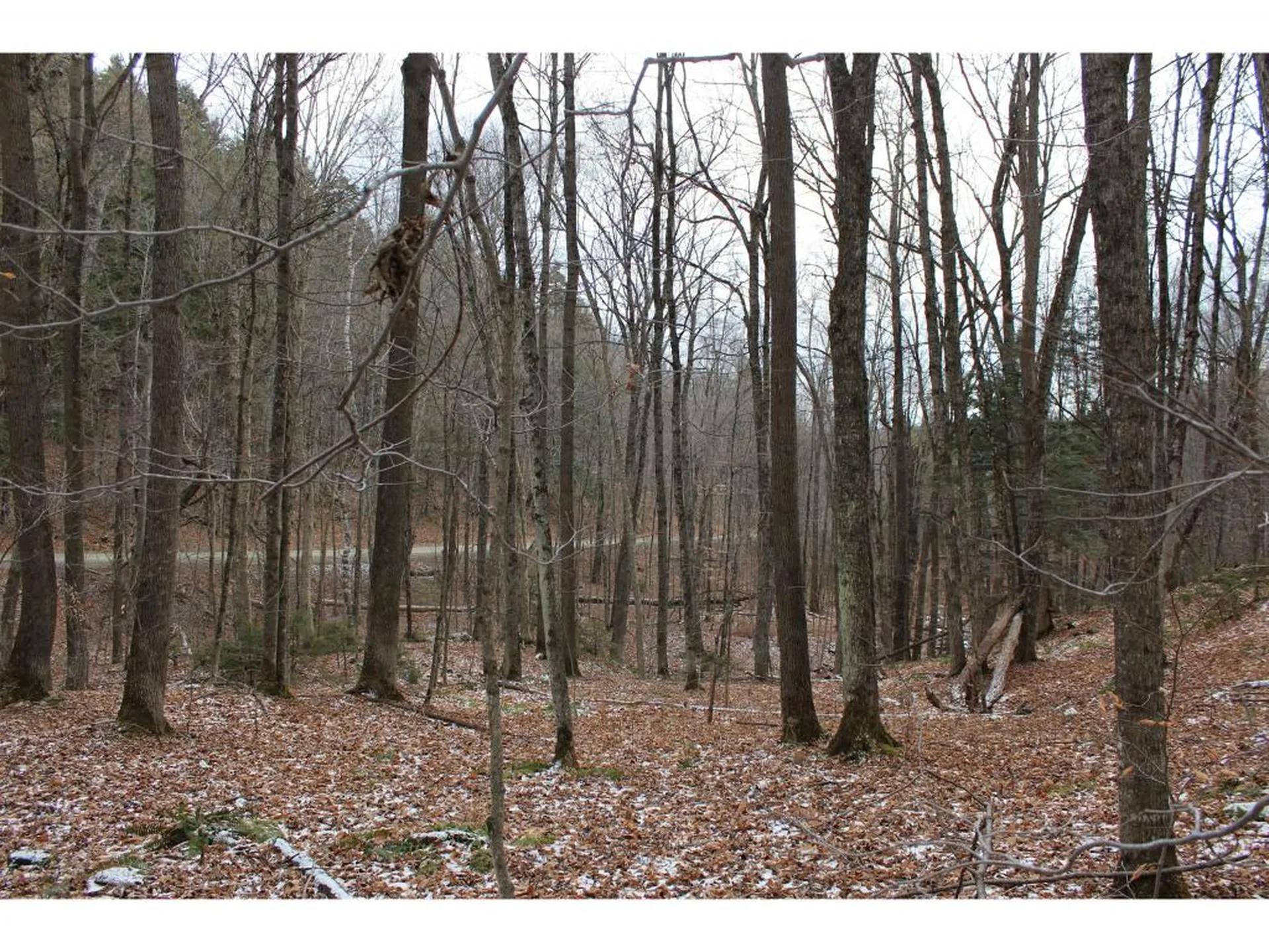 00 Stage Road Barnard VT 05031