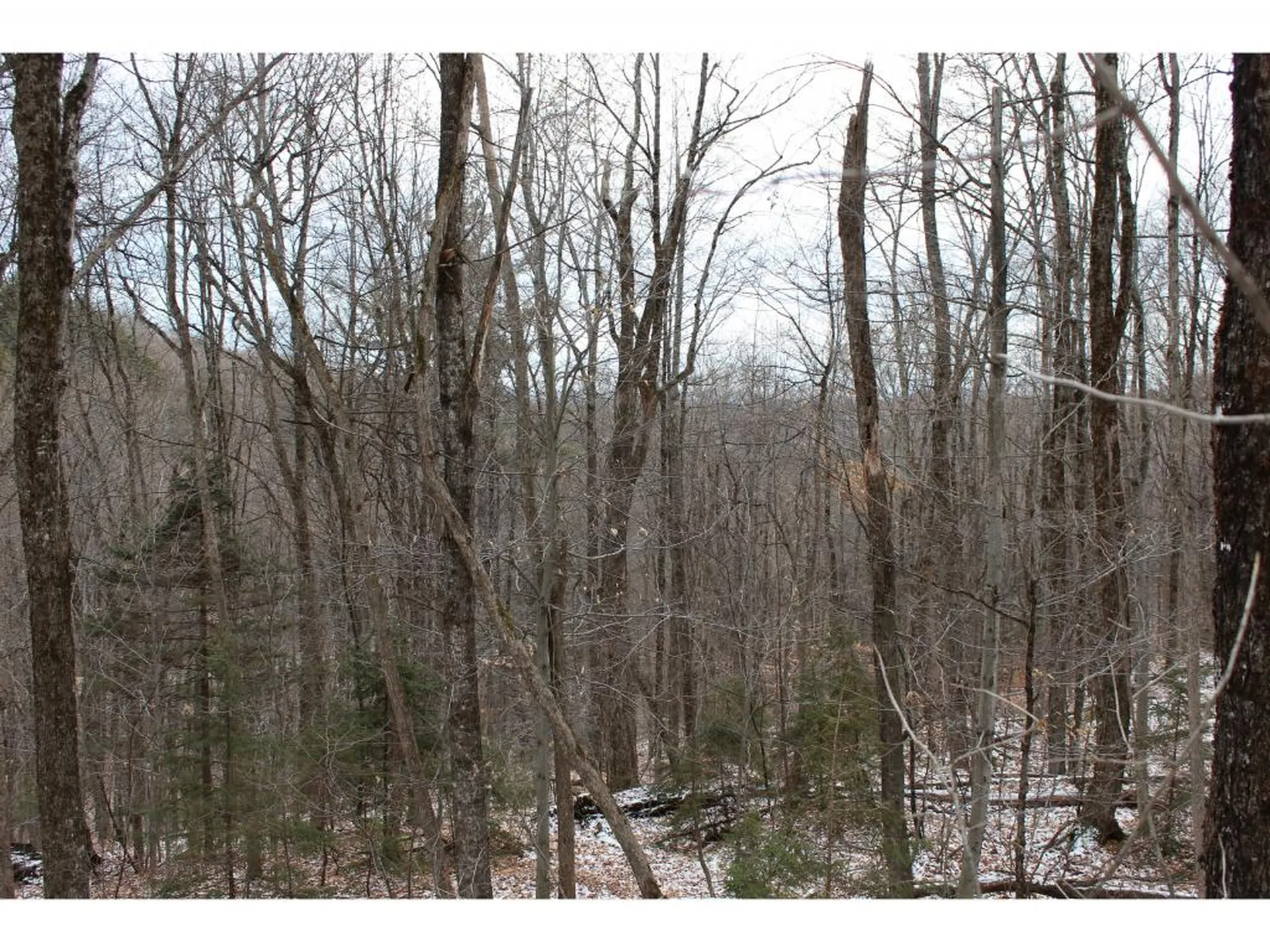 00 Stage Road Barnard VT 05031