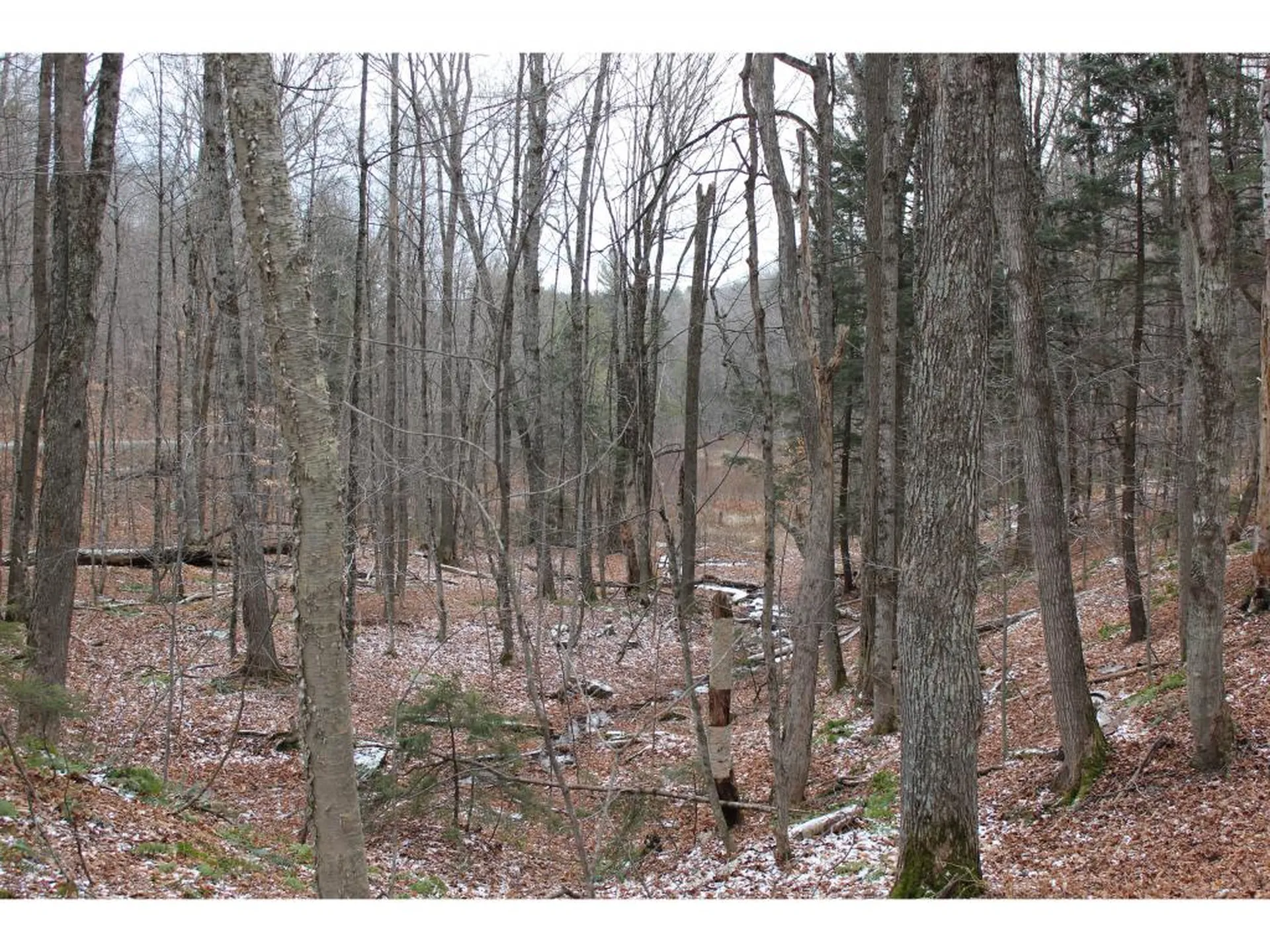 00 Stage Road Barnard VT 05031
