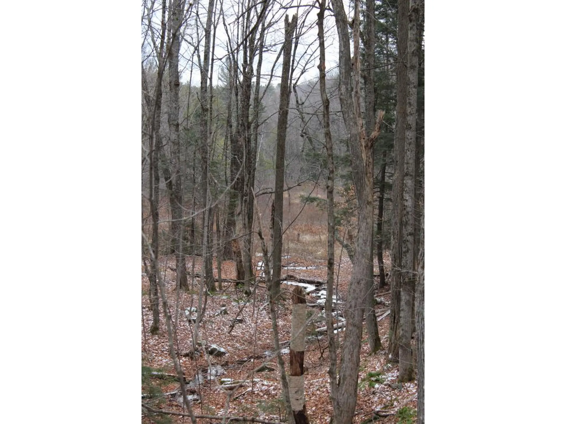 00 Stage Road Barnard VT 05031