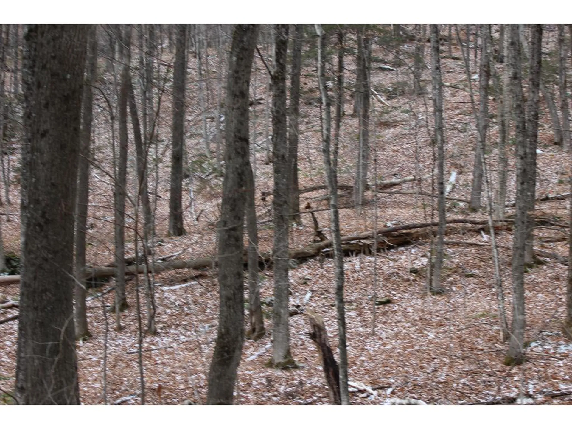 00 Stage Road Barnard VT 05031